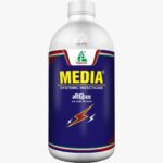 Media