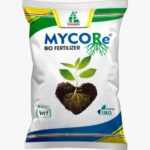 Mycore