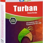 Turban