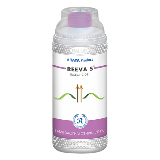 reeva-5-1-small (1) Reeva 5 - Image 1